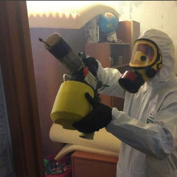 Уничтожение клопов в квартире. Краснозаводск